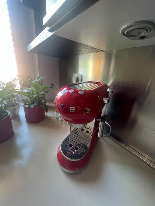Cornelia Suite Roma Dış mekan fotoğraf
